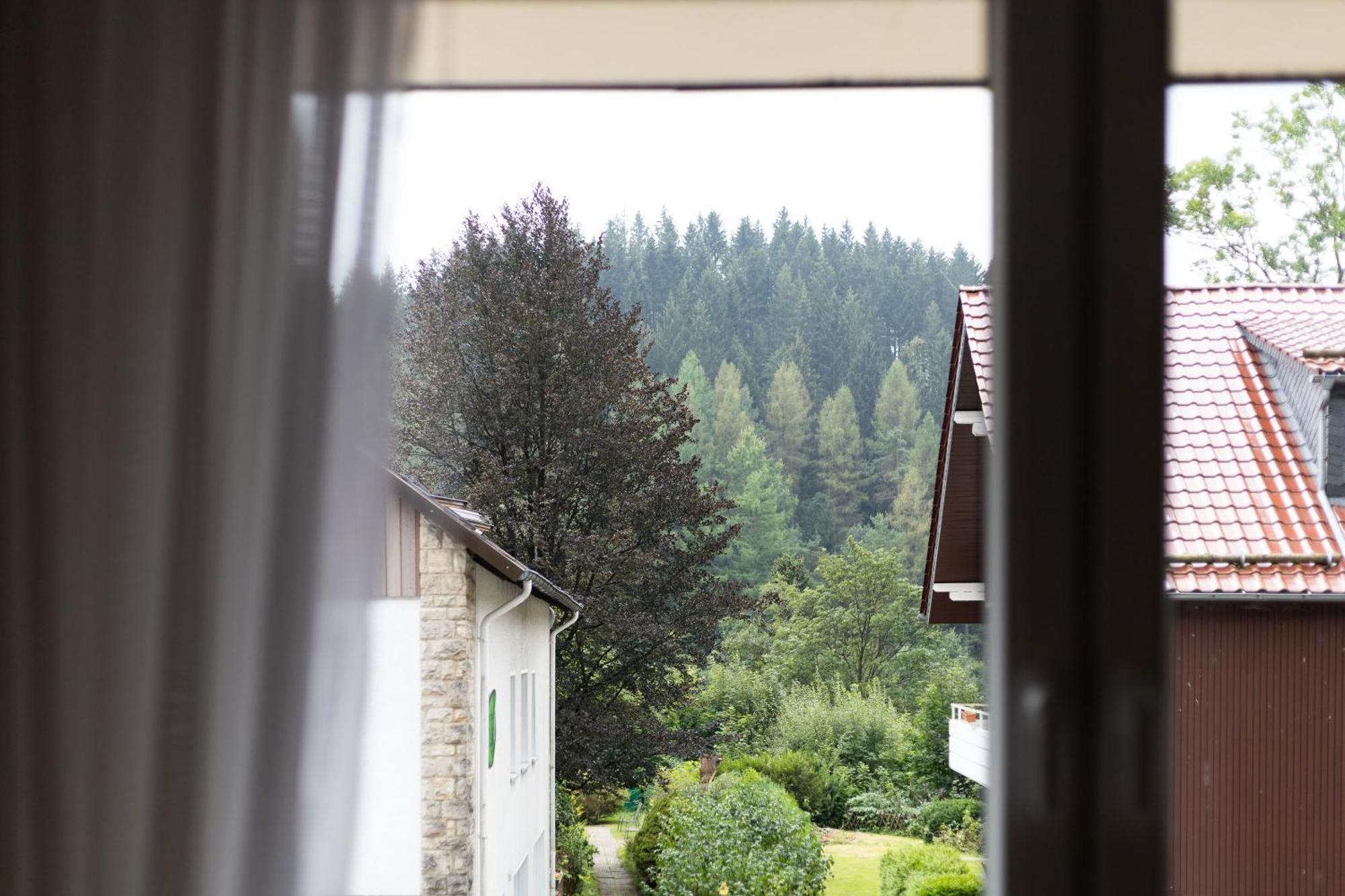 Apartmenthaus Am Waldrand- Kueche - Fruehstueck - Balkon Wildemann Εξωτερικό φωτογραφία